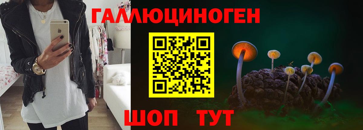 Ачинск  как найти   Вход с VPN  Галлюциногенные грибы прущие грибы 